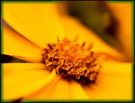 DSC_5934.jpg