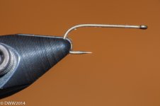 Hook (1 of 1).jpg