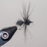 The finished flying ant (1 of 1).jpg