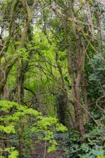DSC_5946.jpg