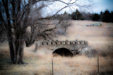 DSC_3706.jpg