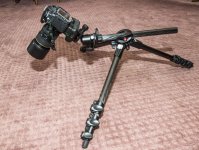 DSC_7872.jpg