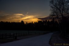 DSC_8678.jpg