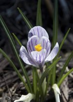 _AAA2172 - Version 2 - 2014-04-20 at 14-31-03.jpg