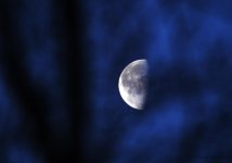 moon1.jpg
