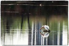 Day111-3.jpg