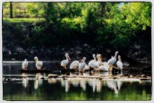 Day111-5.jpg