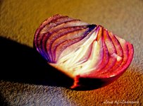 Blood Onion LOL.jpg