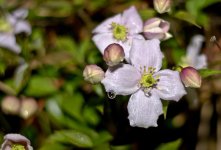 DSC_5972.jpg