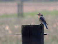 DSCN8902.jpg