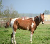 DSC_5416.JPG