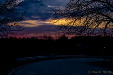 DSC_8699.jpg