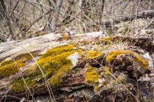 DSC_8709.jpg