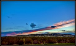 DSC_7260-001.jpg