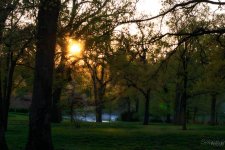 Day112-1.jpg