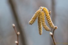 DSC_8772.jpg