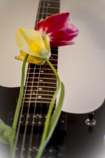 Pete's-365-1-3 (2).jpg