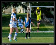 Day113GoalieSave.jpg