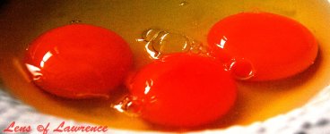 Red Eggs LOL.jpg