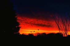 sunrise1200.jpg