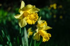 DSC_5785.jpg