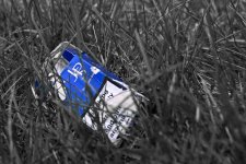DSC_6079 selective.jpg
