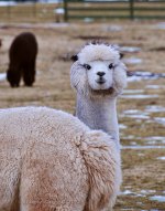 _DSC1712.jpg