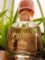 PatronDay48.jpg