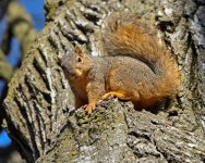 DSC_2391-1.jpg