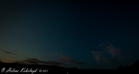 _DSC0276-Edit-3.jpg