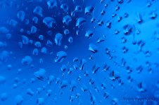 droplets.jpg