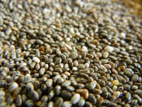 ChiBeanDay52.jpg