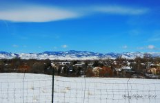 MountainViewDay53.jpg
