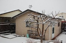 DSC_0617.jpg