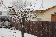 DSC_0616.jpg
