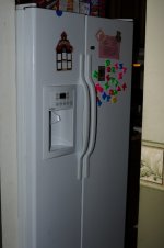 DSC_0856 (425x640).jpg