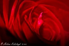 _SSC0089-Edit.jpg