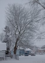 DSC_2872 -2.jpg