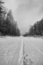 Snow-walk-with-shannon-014-L.jpg Snow-walk-with-shannon-014-L.jpg