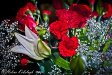 _SSC0104-Edit.jpg