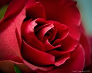 DSC_2885-2-2.jpg