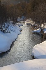 Winter brook.jpg