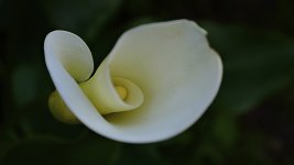 _DSC4073 - Version 2sm.jpg