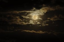 moon.jpg