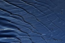 waves on ice.jpg
