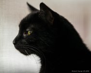 DSC_3288.jpg