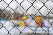 fence at park.jpg