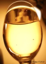 YellowTailDay63.jpg