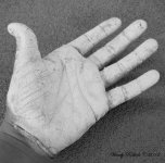 PaintedHandDay72.jpg