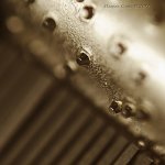Music Box free lens.jpg